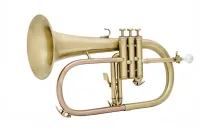 JP175SA Флюгельгорн Bb, матовый, John Packer