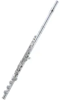 Flute Aidis PA-18 - Advanced flute with French-style keys with split E mechanism and open holes. B-footjoint. Silver headjoint and body.