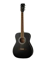 Parkwood PF51-WBAG-BKS - Гитары иных форм