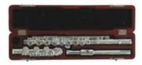FLT-FL-HS925 Флейта Conductor