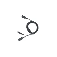 QD(P)-2QD(P)(02)