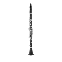 Uebel 425963 Кларнет RÊVE GSP, строй Bb, 18 клапанов, 6 колец, отборное гренадильное дерево, эргоном