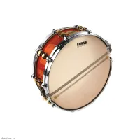 EVANS S14GEN30 - Пластик 14"
