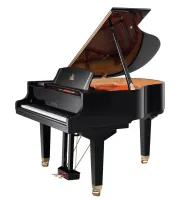 W162BK Рояль акустический, черный WendlandLung