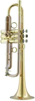 Труба Bb CarolBrass CTR-1110L-GST-Bb-L Soloist Ver. 1