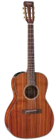 TAKAMINE LEGACY EF407 электроакустическая гитара типа New Yorker, цвет натуральный