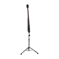 DEAN Paceb CBK Upright pace - электроконтрабас с чехлом и кейсом