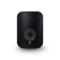 Bluesound professional  bsp500 blk- сетевая активная двухполосная акустическая система 5,25", питание poe, ip65, цвет: черный