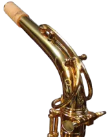 Эска для альт-саксофона Forestone Jazz Laquered