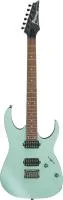 Ibanez Rg421s-sem