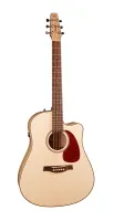 032464 Performer CW HG QIT Электро-акустическая гитара, с чехлом, Seagull