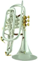 Корнет Bb CarolBrass CCR-6882T-GSS-Bb-SG