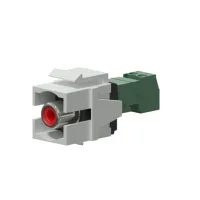 Procab VCK105P/W- Вставка-переходник Keystone RCA – клеммный блок белого цвета, комплект 2 шт.