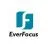 EVERFOCUS / Тайвань