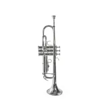 Труба Bach TR-650S Bb