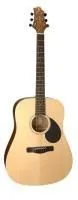 Gregbennett Gd50/opn