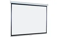 [LEP-100115] Настенный экран Lumien [Eco Picture] 206х274см (рабочая область 198х266 см) (131") Matte White прямоуголный корпус, возможность потолочн./настенного крепления, 4:3