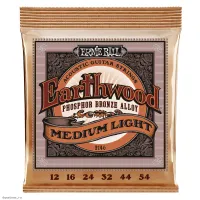 ERNIE BALL 2146 Earthwood Phosphor Bronze Medium Light 12-54 - Струны для акустической гитары