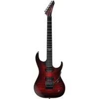 Washburn PXS10FRDLXWB  SALE