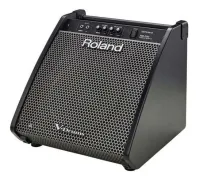 Roland pm-200  монитор