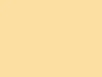 Background paper (2.72*10M) 65 Cream фон бумажный, кремовый E-Image