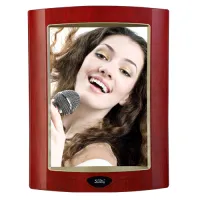 P4U Акустическая система плоская, настенная, 120Вт, Soundking