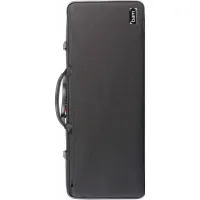 BAM CASES 2005SN Черный - Двойной кейс для скрипок
