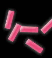 Конфетти флуоресцентное 17х55мм UV-розовое