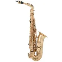 ArnoldsandSons AAS-300-TERRA  саксофон альт Eb, профессион. , верх клап F#, съем растр, покр золотой лак
