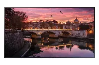 Samsung QB65R - Профессиональная панель