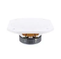 Visaton FRS 10 WP/8 WHITE - Встраиваемая настенная акустика