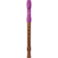 Блок-флейта Hohner Alegra B95831 деревянная, До-сопрано, немецкая система, пластиковый мундштук