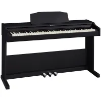 ROLAND RP102-BK