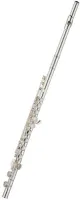 Flute Aidis 201B - Flute with Y-shaped cups and closed keys. Silver-plated head and body, C-footjoint.