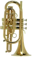 Корнет Bb CarolBrass Legendary CCR-8880-GSS-Bb-L