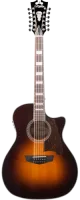 12-струнная гитара D'Angelico Premier Fulton PG-212-VSB