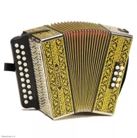 HOHNER Vienna Model 2915 - Аккордеон диатонический