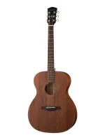 Гитара акустическая Parkwood S22M-NS с чехлом