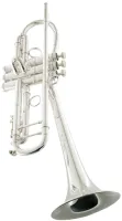 Труба Bb CarolBrass Legendary CTR-9962H-PSM(Euro)-Bb-S