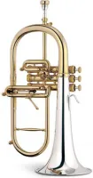 Флюгельгорн Stomvi Master 5981