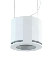 CVGAUDIO SUBone model D-6W/CR/T - Профессиональный подвесной трансляционный сабвуфер, 6.5", 70W/100V, пассивный кроссовер 120Hz, фазоинвертор, цвет белый