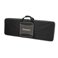 EPIPHONE Explorer EpiLitу Case Black кейс для Explorer, цвет черный