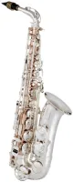Alto saxophone Borgani SE200 - Professional alto saxophone "Special Edition" with polished 24K gilded body, silver-plated bell, neck and keywork.