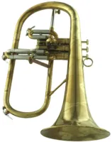 Флюгельгорн CarolBrass CFL-6200-GSS-Bb-AL