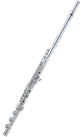Флейта Aidis PB-628