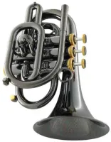 Карманная труба Bb CarolBrass CPT-3000-GLS-Bb-BG