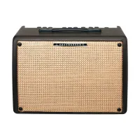 IBANEZ T30II TROUBADOUR ACOUSTIC COMBO