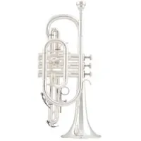Arnoldsandsons acr-4220s-terra  корнет bb стандартный, раструб желтая латунь 118,5, мен 11,4, посеребр