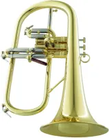 Флюгельгорн CarolBrass CFL-6200-YSS-Bb-L
