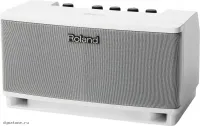 ROLAND CUBE LITE Monitor - Комбоусилитель для акустической гитары